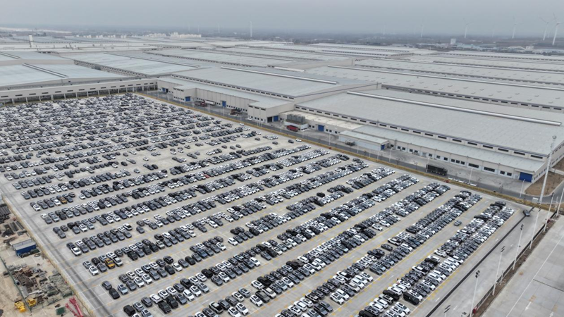 新下線的比亞迪整車在汽車產業城內整齊停放。徐聰攝