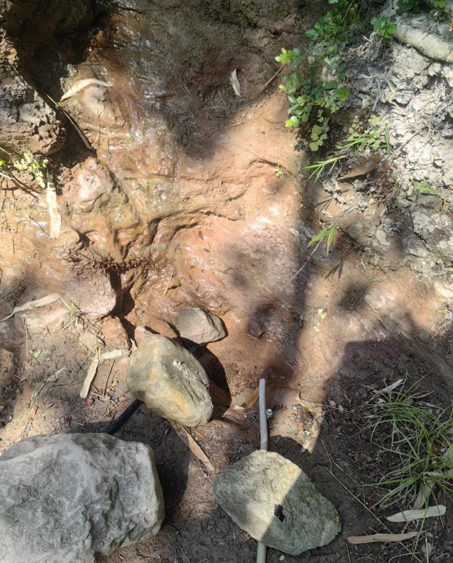 當地河流缺水干涸。留言網友供圖